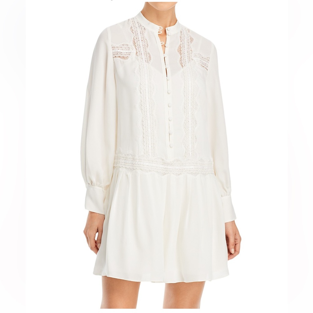 Silk Lace Drop Waist Dress